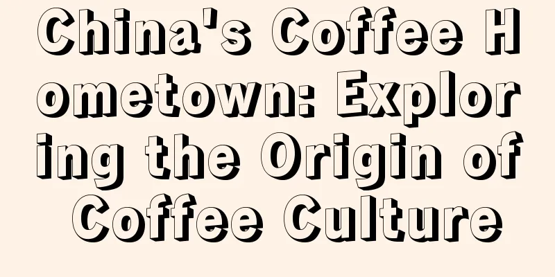 China's Coffee Hometown: Exploring the Origin of Coffee Culture