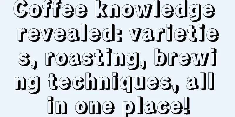 Coffee knowledge revealed: varieties, roasting, brewing techniques, all in one place!