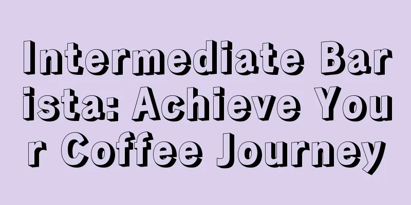 Intermediate Barista: Achieve Your Coffee Journey