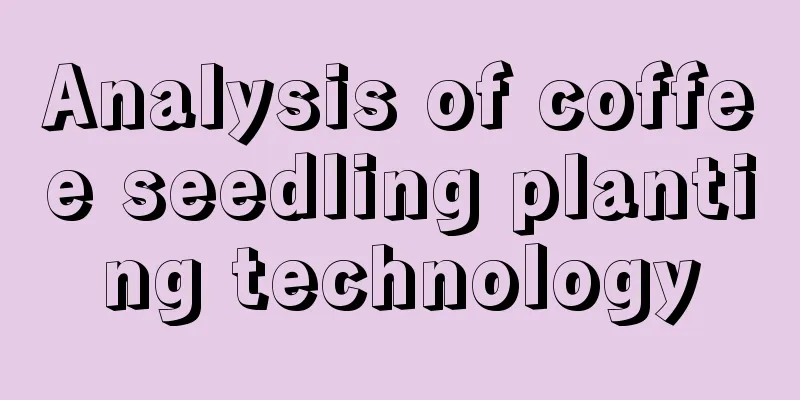 Analysis of coffee seedling planting technology