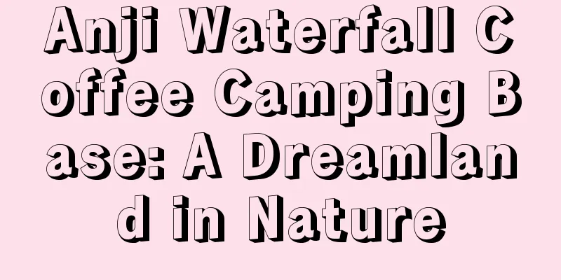 Anji Waterfall Coffee Camping Base: A Dreamland in Nature