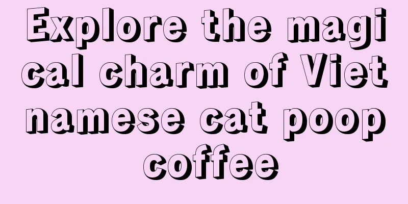 Explore the magical charm of Vietnamese cat poop coffee