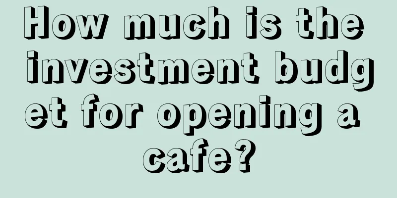 How much is the investment budget for opening a cafe?