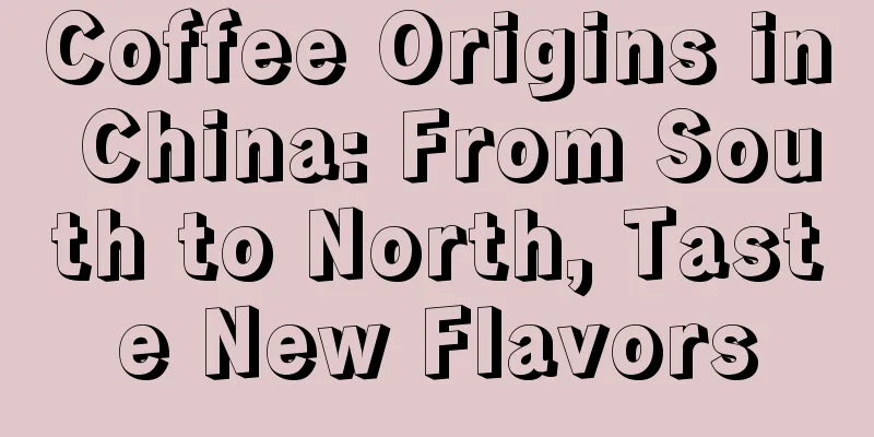 Coffee Origins in China: From South to North, Taste New Flavors