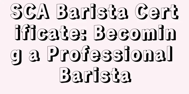 SCA Barista Certificate: Becoming a Professional Barista