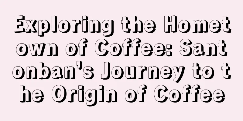 Exploring the Hometown of Coffee: Santonban’s Journey to the Origin of Coffee