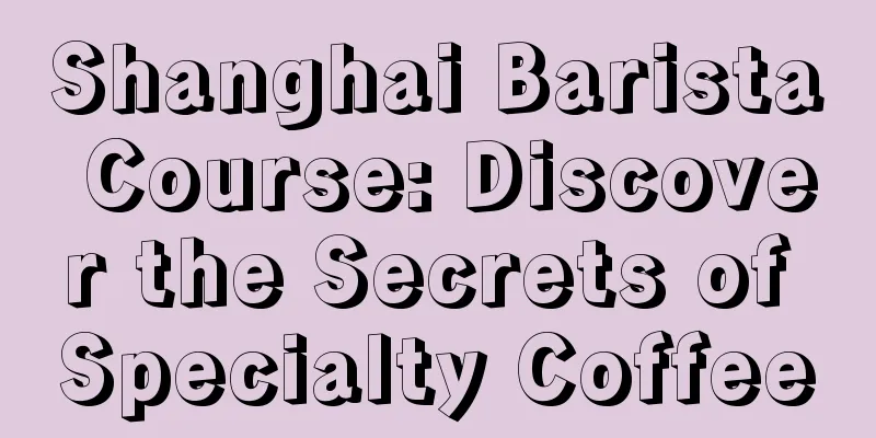 Shanghai Barista Course: Discover the Secrets of Specialty Coffee