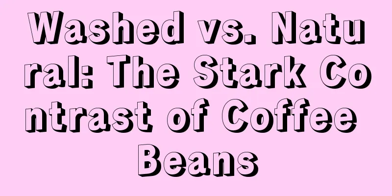 Washed vs. Natural: The Stark Contrast of Coffee Beans