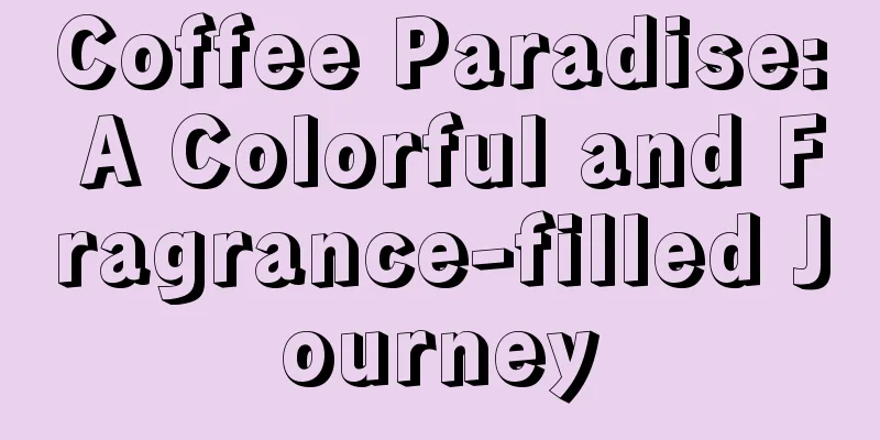 Coffee Paradise: A Colorful and Fragrance-filled Journey