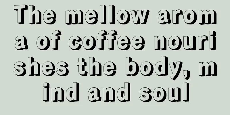 The mellow aroma of coffee nourishes the body, mind and soul