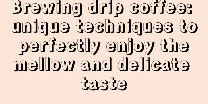 Brewing drip coffee: unique techniques to perfectly enjoy the mellow and delicate taste