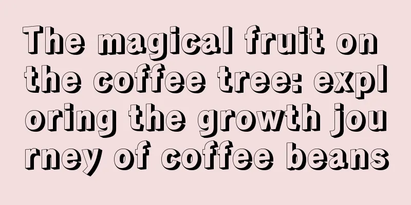 The magical fruit on the coffee tree: exploring the growth journey of coffee beans