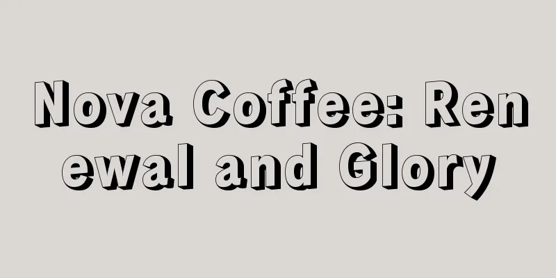 Nova Coffee: Renewal and Glory