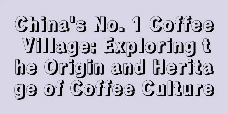 China's No. 1 Coffee Village: Exploring the Origin and Heritage of Coffee Culture