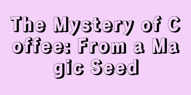 The Mystery of Coffee: From a Magic Seed