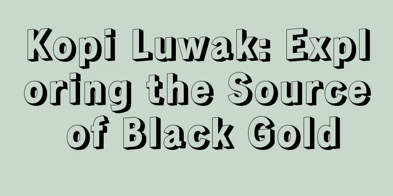 Kopi Luwak: Exploring the Source of Black Gold