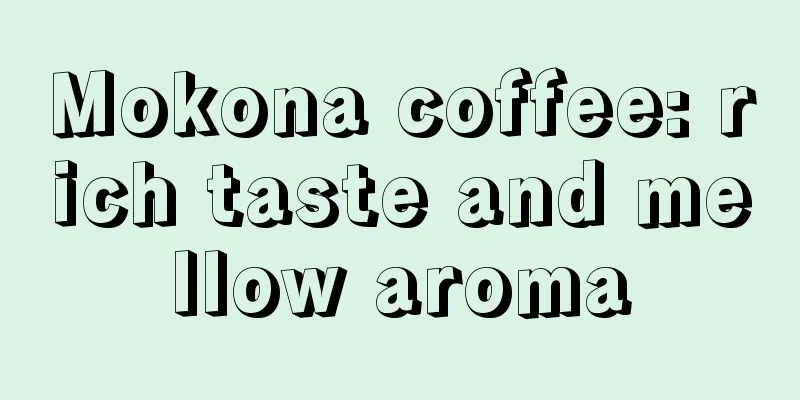 Mokona coffee: rich taste and mellow aroma