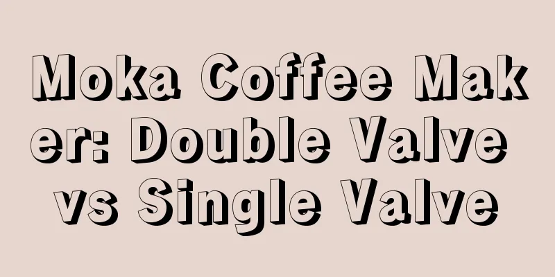 Moka Coffee Maker: Double Valve vs Single Valve