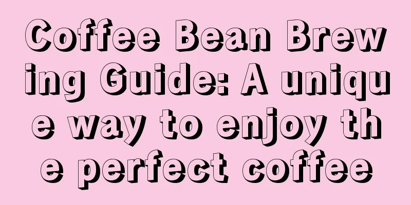 Coffee Bean Brewing Guide: A unique way to enjoy the perfect coffee