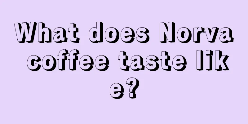 What does Norva coffee taste like?