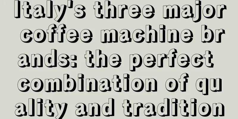 Italy's three major coffee machine brands: the perfect combination of quality and tradition