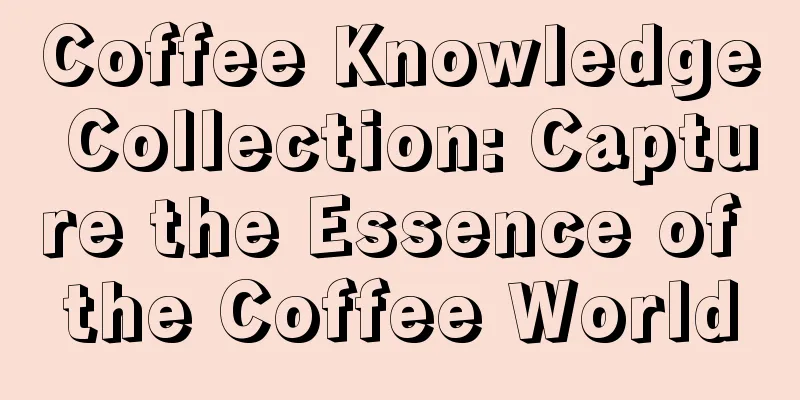 Coffee Knowledge Collection: Capture the Essence of the Coffee World