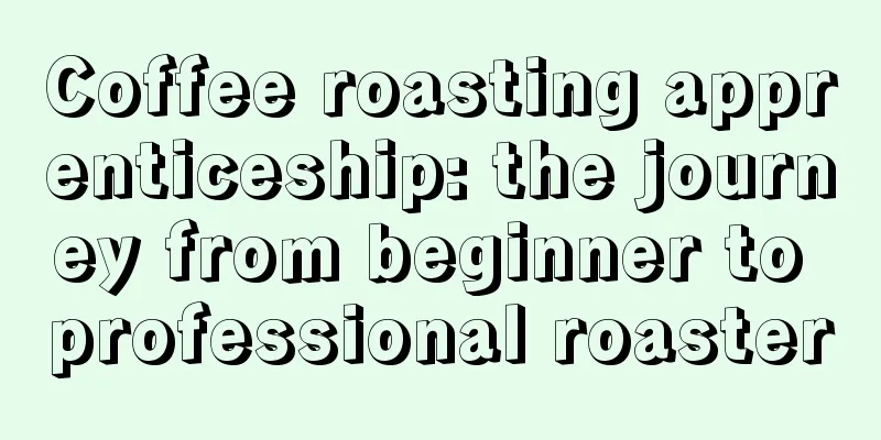 Coffee roasting apprenticeship: the journey from beginner to professional roaster