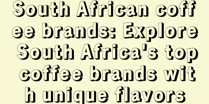 South African coffee brands: Explore South Africa's top coffee brands with unique flavors