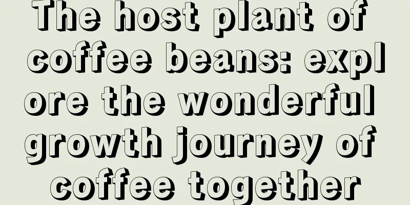 The host plant of coffee beans: explore the wonderful growth journey of coffee together