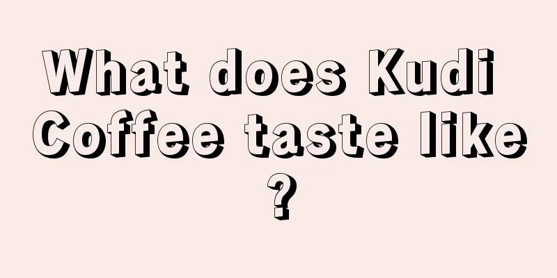 What does Kudi Coffee taste like?