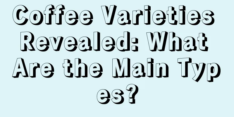 Coffee Varieties Revealed: What Are the Main Types?