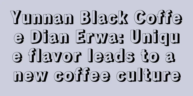 Yunnan Black Coffee Dian Erwa: Unique flavor leads to a new coffee culture