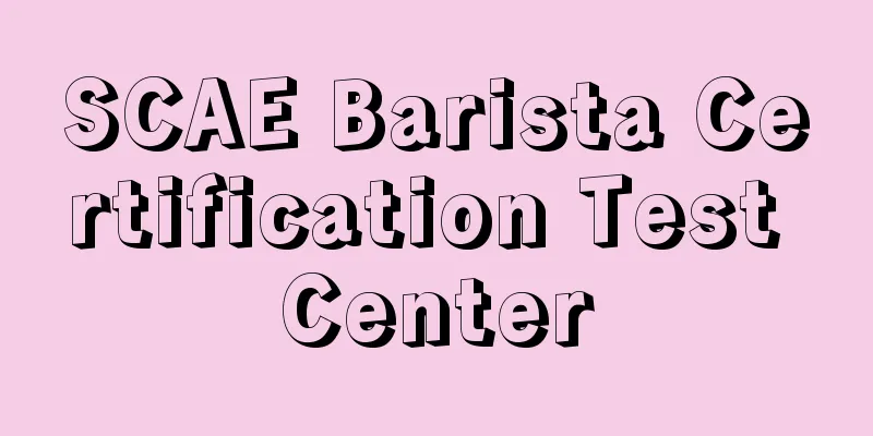 SCAE Barista Certification Test Center