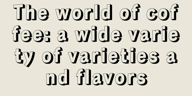 The world of coffee: a wide variety of varieties and flavors