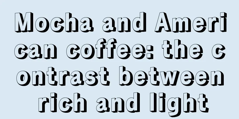 Mocha and American coffee: the contrast between rich and light