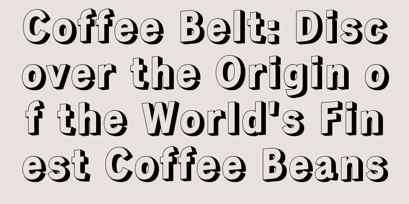 Coffee Belt: Discover the Origin of the World's Finest Coffee Beans