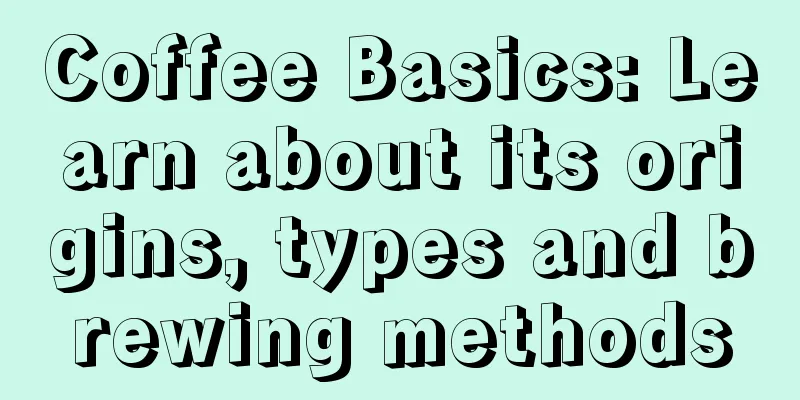 Coffee Basics: Learn about its origins, types and brewing methods