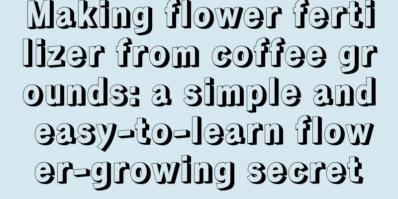 Making flower fertilizer from coffee grounds: a simple and easy-to-learn flower-growing secret