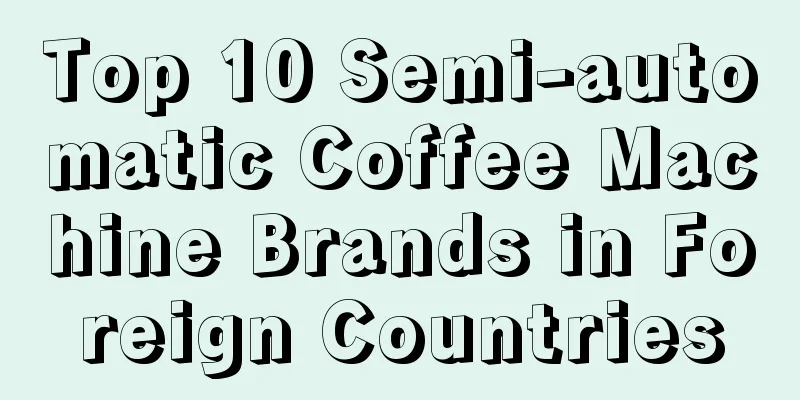 Top 10 Semi-automatic Coffee Machine Brands in Foreign Countries