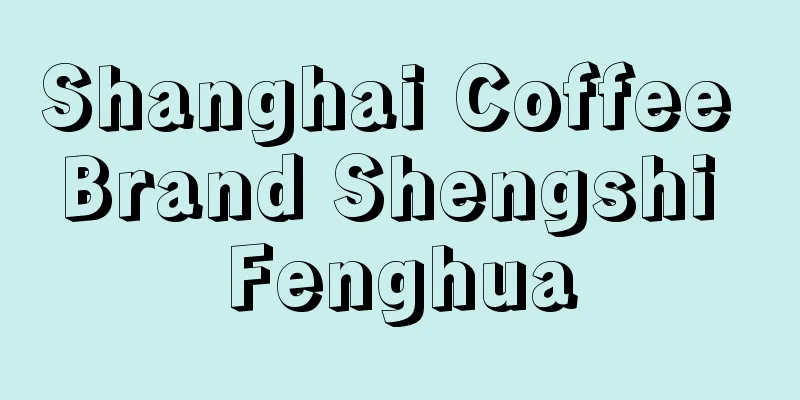 Shanghai Coffee Brand Shengshi Fenghua