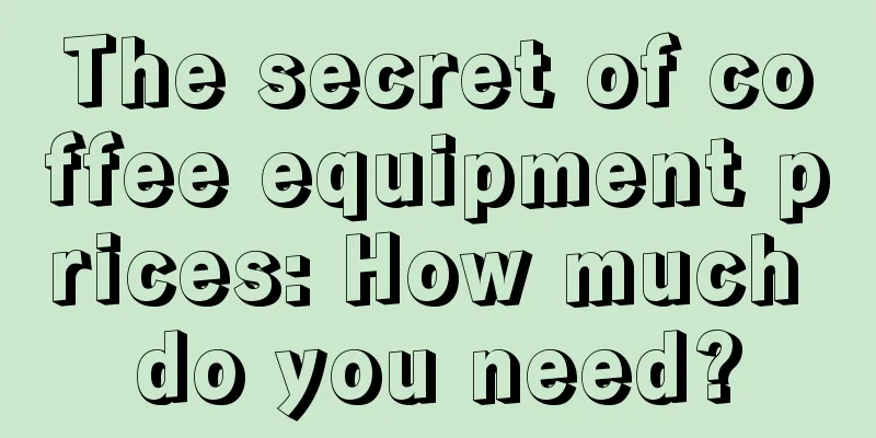 The secret of coffee equipment prices: How much do you need?