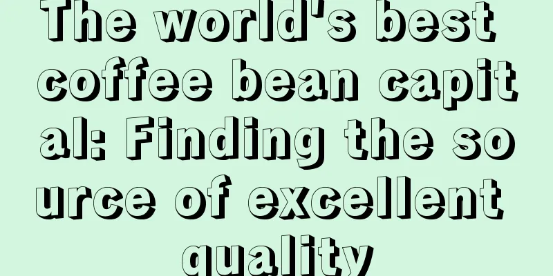 The world's best coffee bean capital: Finding the source of excellent quality