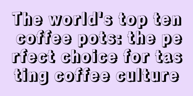 The world's top ten coffee pots: the perfect choice for tasting coffee culture