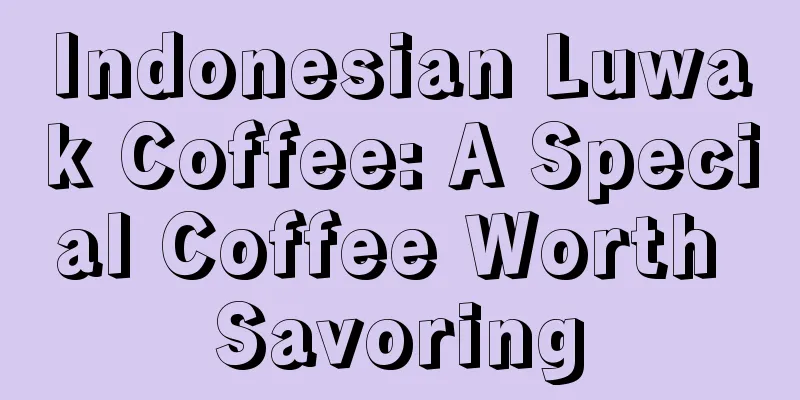 Indonesian Luwak Coffee: A Special Coffee Worth Savoring