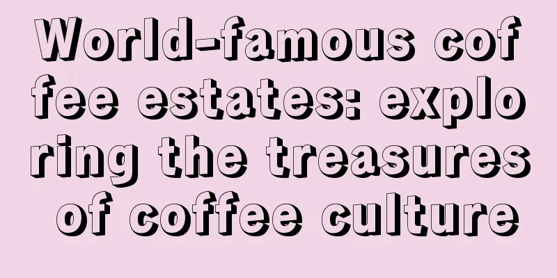 World-famous coffee estates: exploring the treasures of coffee culture