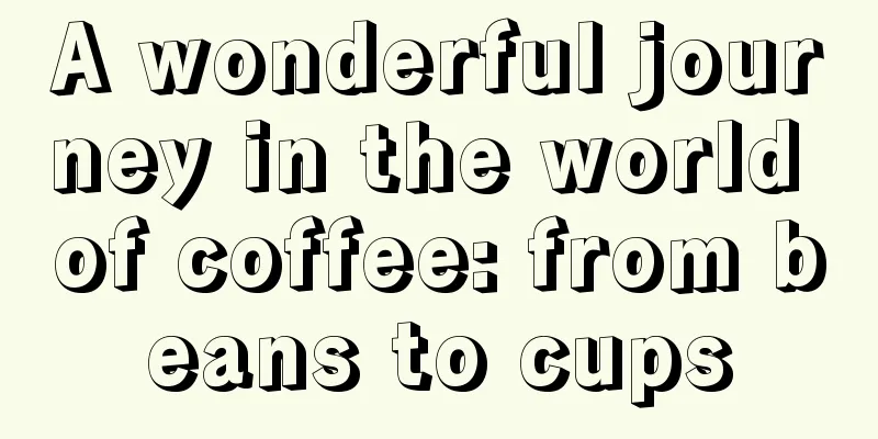 A wonderful journey in the world of coffee: from beans to cups