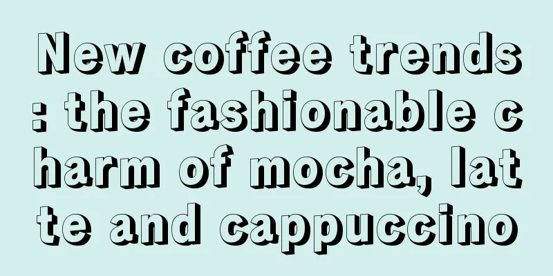 New coffee trends: the fashionable charm of mocha, latte and cappuccino