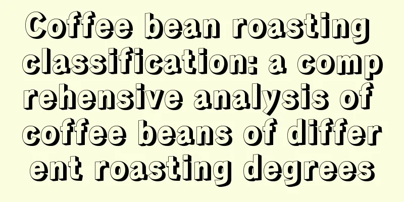 Coffee bean roasting classification: a comprehensive analysis of coffee beans of different roasting degrees