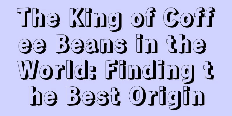 The King of Coffee Beans in the World: Finding the Best Origin