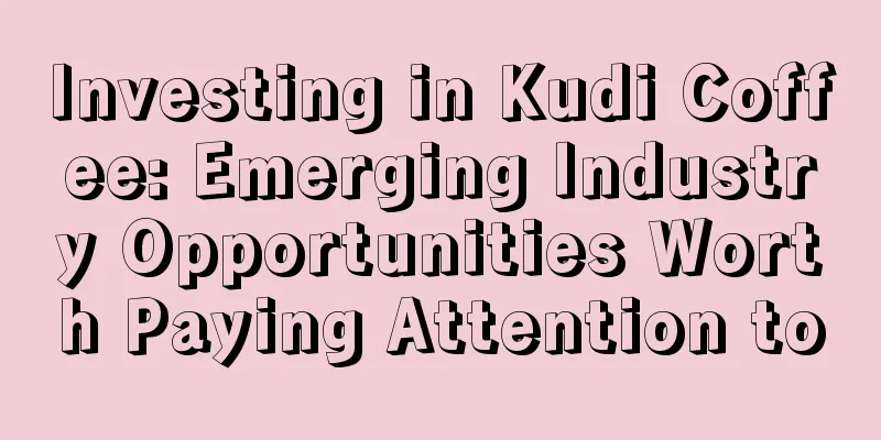 Investing in Kudi Coffee: Emerging Industry Opportunities Worth Paying Attention to